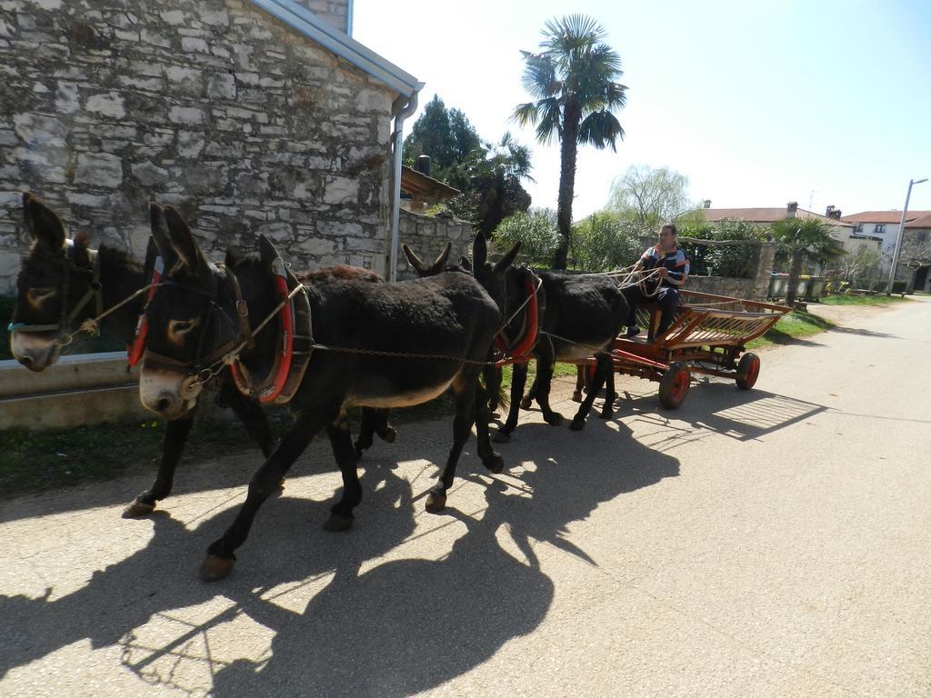 Bed and Breakfast Ranch Radin Brtonigla Exterior foto